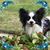 Chrissie Hood's profile image