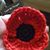 Irene Gaskill's profile image
