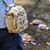 Jonathan Hatten's profile image