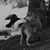 Ron Kellar's profile image