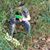 Thomas Hadder's profile image