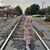 Mary McMahan's profile image