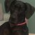 Linda J. Fruth's profile image
