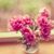 Rizvia Naqvi's profile image