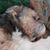 Rebecca Folsom's profile image