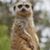 Robert Patterson's profile image