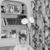 Bonnie Scopa-Halstead's profile image