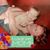 Stephanie Dausman Knust's profile image