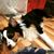 Kelly McKibben Harro's profile image