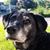 Rick Kulibert Jr.'s profile image