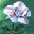 Julie Kern's profile image