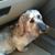 Cathy Ely's profile image
