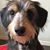 Mary Lou Murray's profile image