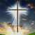 Carolyn Alford's profile image