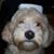 Cornelia Rigsby's profile image
