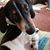 Debbie Graham's profile image
