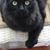 Karen Madson Gordon's profile image