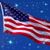 Tracy Brandt's profile image