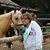 Cindi Gonsalves's profile image