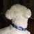 Charlene Hicks Hopkins's profile image