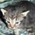 Erick Blan's profile image