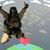 John McWilliams's profile image