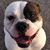 Karen J Mozee's profile image