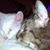 Carolyn Denning's profile image