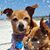 Krista Borges's profile image