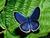 Charity N.'s profile image