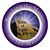 Eleen Nunn Mackey's profile image