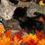 Michele Bullock Wood's profile image
