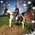 Owen Wallis's profile image