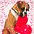 Jan Benson Greco's profile image