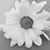 Sarah Hess's profile image