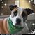 Ann Marie McNamara's profile image