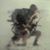 Erik Lundberg's profile image