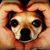 Margie Arocho's profile image