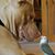 Julz Crombie's profile image