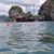 Laura Hirshfield's profile image