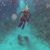 M Omar Fallatah's profile image