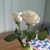 Barbara Kelly's profile image