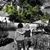 Diane Healey-Johnson's profile image