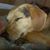 Rick Gorton's profile image