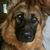 Sharon Gaylord's profile image