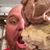 Cale Lopp's profile image