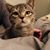 Joleen Marlow-Tol's profile image