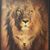 Astrid Lique's profile image