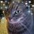 Bicky Saggerty's profile image