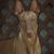 Geoffrey Carter's profile image